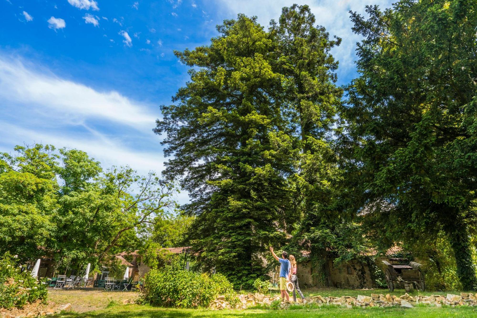 Chateau De La Tourlandry Chemille-en-Anjou Buitenkant foto